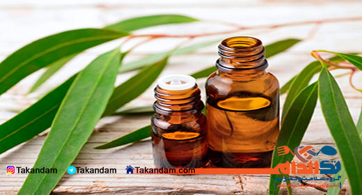 eucalyptus-benefits-4