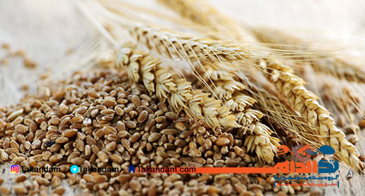 fatty-liver-treatment-grains