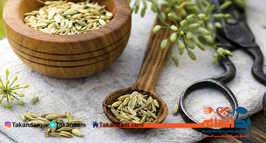 fennel-effect-on-beauty-2
