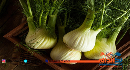 fennel-seeds-4