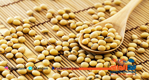 foods-for-pregnancy-soy