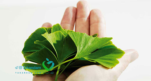 ginkgo-benefits-1