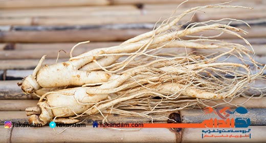 ginseng-benefits-fresh-ginseng