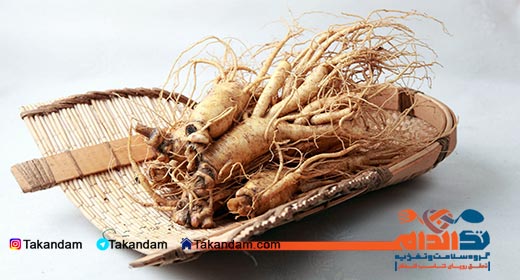 ginseng-benefits-ginseng-roots