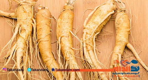 ginseng-benefits-ginseng-rootss