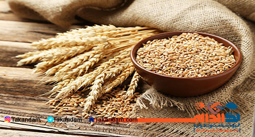 grain-effect-on-skin-and-hair-health-2