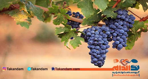 grape-diet-3