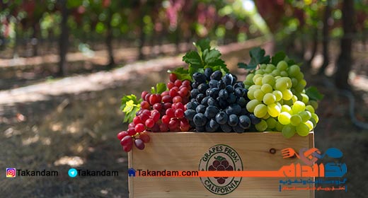 grape-diet-4