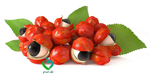 guarana-benefits-6