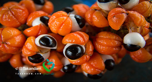 guarana-benefits-8