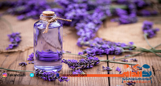 head-lice-essential-oils