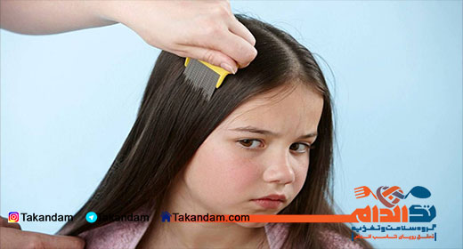 head-lice-wet-brushing