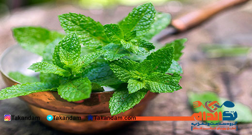 headache-treatment-mint