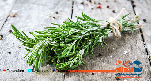 health-benefits-of-rosemary-1