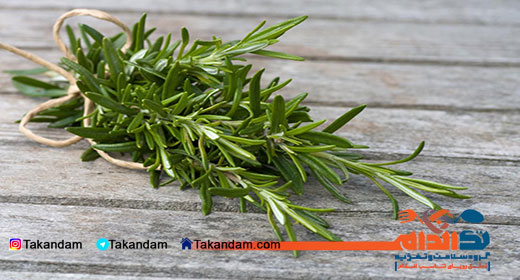 health-benefits-of-rosemary-4