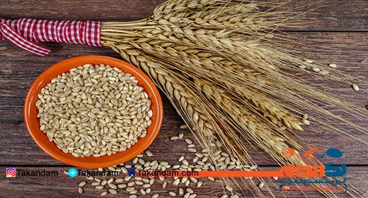 hepatitis-types-and-diet-grains