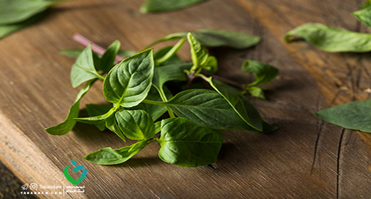 home-remedy-for-malaria-disease-holy-basil
