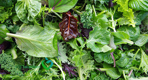 how-to-treat-peptic-ulcer-leafy-greens
