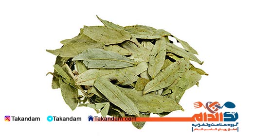 laxative-foods-senna