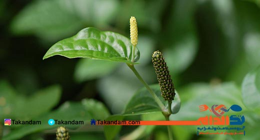long-pepper-benefits-4
