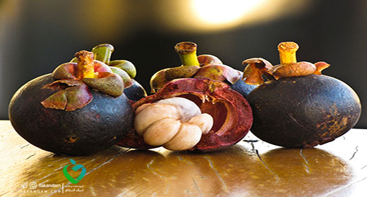 mangosteen-benefits-3
