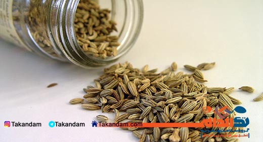 natural-increase-in-breast-milk-fennel