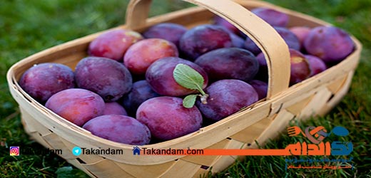 natural-masks-plum