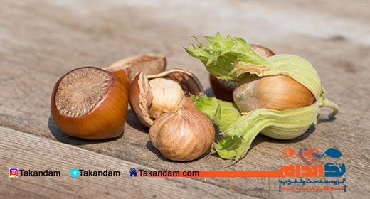 prostate-cancer-nutritional-treatment-hazelnut