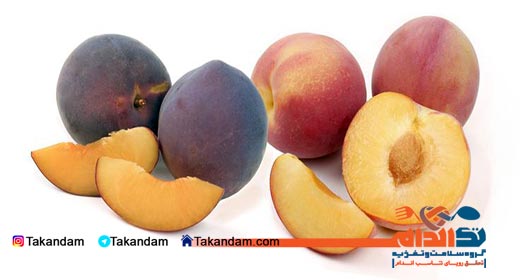 prostate-cancer-nutritional-treatment-plum