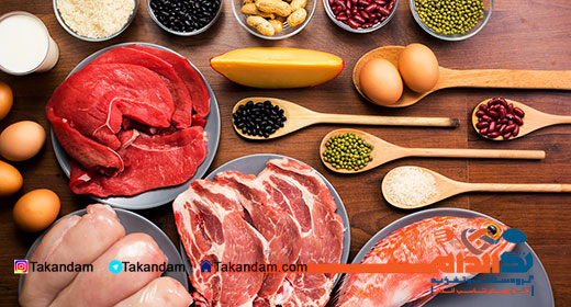 protein-diet-9