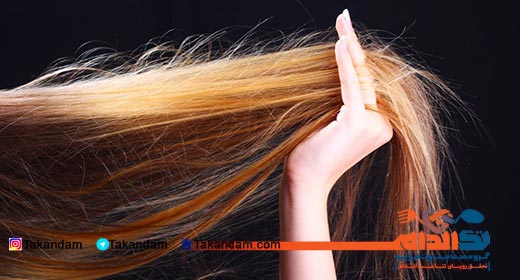 protein-skin-hair-health-damaged-hair