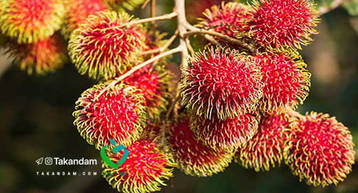 rambutan-benefits-6