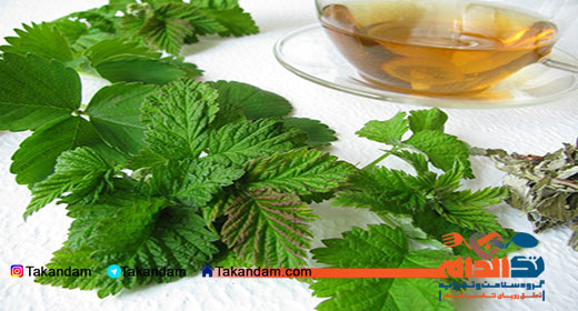 raspberry-leaf-tea-2