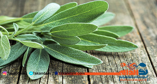 sage-benefits-2