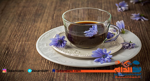 sekanjabin-chicory-benefits-chicory-tea