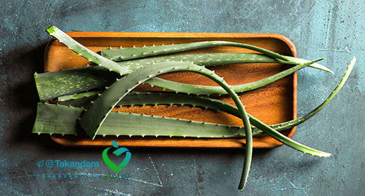 skin-burn-home-treatment-aloe-vera