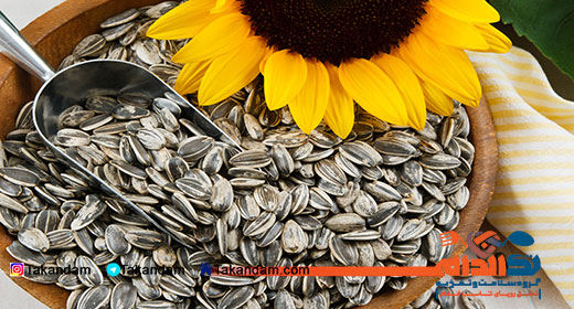 sunflower-seeds-benefits-4
