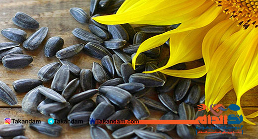 sunflower-seeds-benefits-5