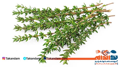 thyme-benefits-leaves