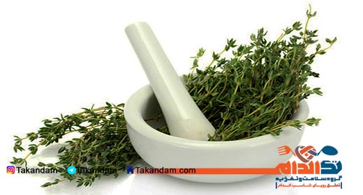 thyme-benefits-plant
