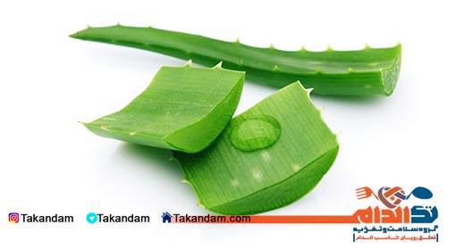 treatment-for-scars-aloe-vera