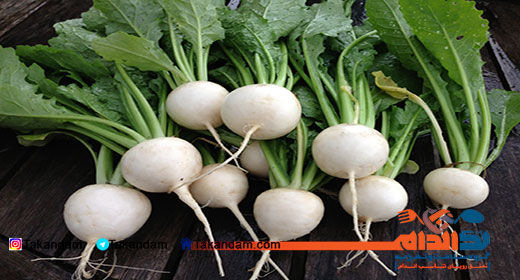 جدول ارزش غذایی