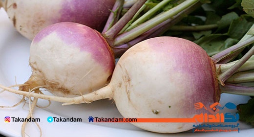 جدول ارزش غذایی