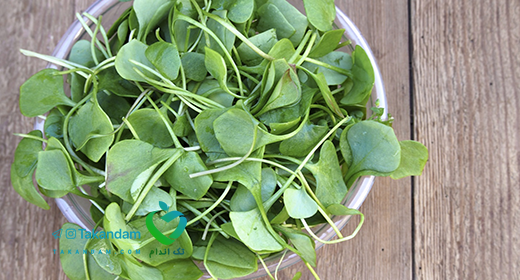 watercress-benefits-1