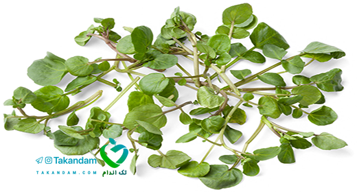 watercress-benefits-5