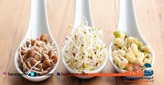 wheat-germ-benefits-wheat-sprout