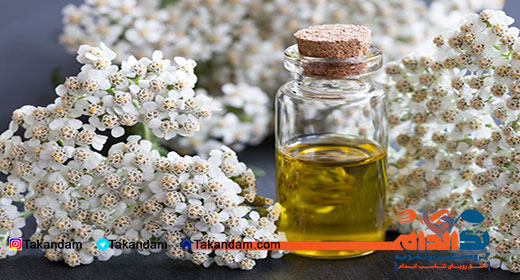 yarrow-benefits-1