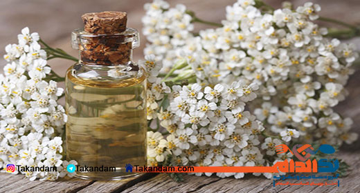 yarrow-benefits-3