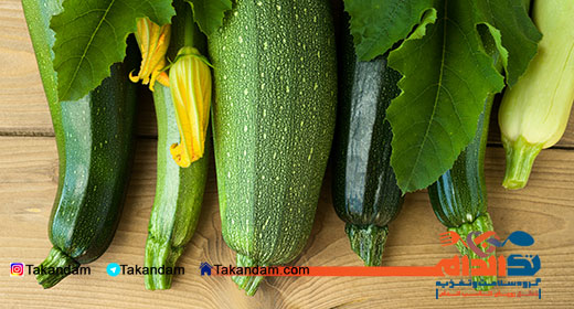 zucchini-benefits-2