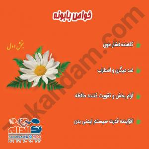 خواص بابونه-بخش اول